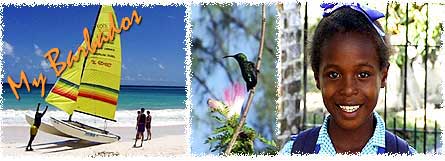 My Barbados Dover Beach, Hummingbird and Bajan child